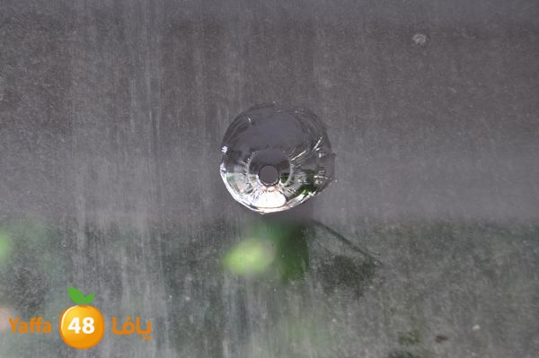 fireinam7atalud429 (9).JPG